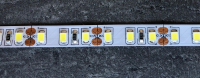 LED стрічка 12В Skarlat LV-2835-120 14Вт 2650Лм Білий Холодний 6000K IP44 8мм
